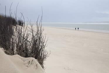 Deutschland, Insel Langeoog, einsamer Strand - WIF001566