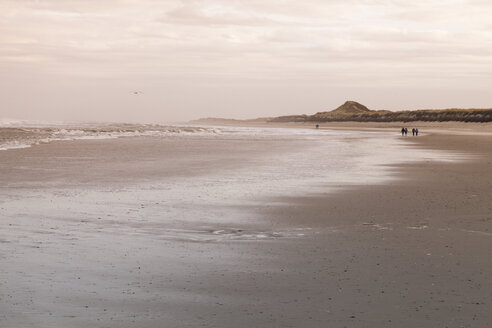 Deutschland, Insel Langeoog, Küstenlandschaft - WIF001571