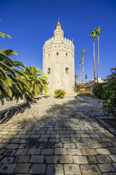 Spanien, Andalusien, Sevilla, Torre del Oro - THAF001295