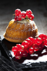 Mini Gugelhupf filled with ricotta and cream cheese garnished with red currants - CSF024947