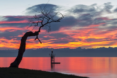 Deutschland, Baden-Württemberg, Bodensee, Sonnenaufgang am Strandbad Hörnle - KEBF000048