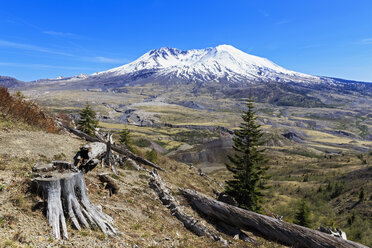 USA, Washington, Mount St. Helens as seen from Johnston Ridge Observatory and damage in landscape from eruption - FOF007834