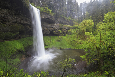 USA, Oregon, Silver Falls State Park, South Falls - FOF007835