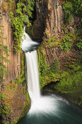 USA, Douglas County, Oregon, Umpqua River, Toketee Falls - FOF007852