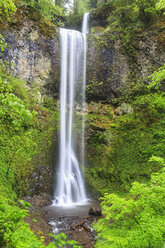 USA, Oregon, Silver Falls State Park, Double Falls - FOF007840