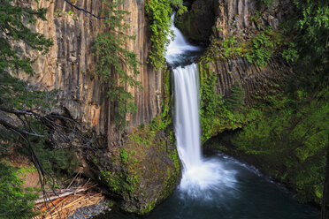 USA, Douglas County, Oregon, Umpqua River, Toketee Falls - FOF007858