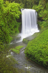 USA, Oregon, Silver Falls State Park, Middle North Falls - FOF007842