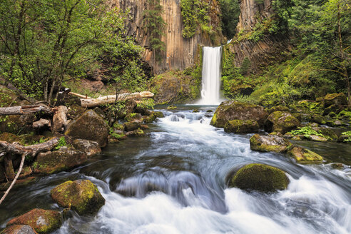 USA, Douglas County, Oregon, Umpqua River, Toketee Falls - FOF007861