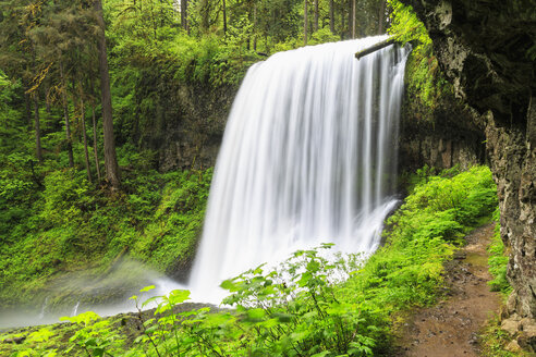 USA, Oregon, Silver Falls State Park, Middle North Falls - FOF007843