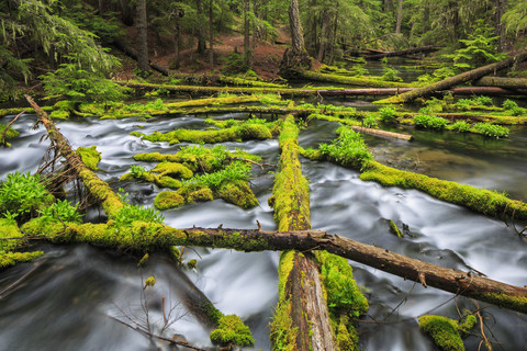USA, Douglas County, Oregon, Umpqua River, Clearwater Falls stock photo