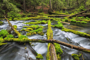 USA, Douglas County, Oregon, Umpqua River, Clearwater Falls - FOF007862