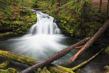 USA, Douglas County, Oregon, Umpqua River, Whitehorse Falls - FOF007863