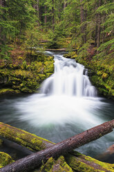 USA, Douglas County, Oregon, Umpqua River, Whitehorse Falls - FOF007867