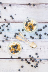 Joghurt mit Müsli und Heidelbeeren - LVF003054