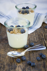 Joghurt mit Müsli und Heidelbeeren - LVF003058