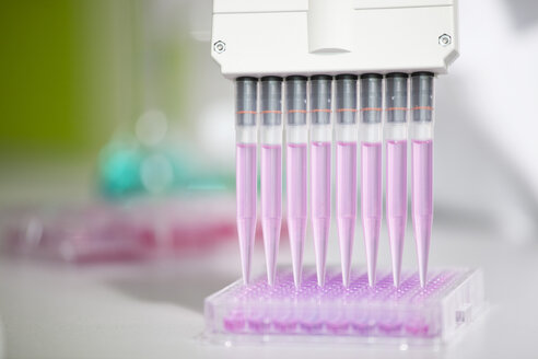 Test tubes for pipetting in lab - RBF002520