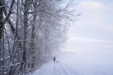 Germany, Gelting, walker with two dogs in winter landscape - SIEF006526