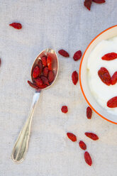 Teelöffel mit Wolfsbeeren und Schale mit Naturjoghurt mit Wolfsbeeren - LVF003060