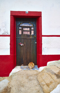 Portugal, Algarve, Salema, cat at wooden entrance door - MRF001578