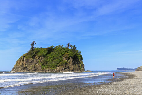 USA, Staat Washington, Olympic Peninsula, Olympic National Park, Pazifischer Ozean, Tourist am Rubby Beach - FOF007882