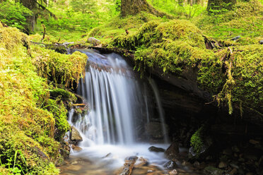 SA, Bundesstaat Washington, Olympic National Park, Blick auf den Fluss Sol Duc, Kaskade - FOF007885