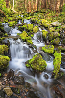 USA, Bundesstaat Washington, Olympic National Park, Blick auf den Sol Duc Fluss, Kaskade - FOF007886