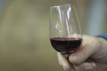 Hand holding glass of red wine - SGF001400