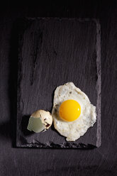 Fried quail egg and eggshell on slate - CSF025002