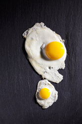 Fried quail egg and fried hen's egg on slate - CSF025004
