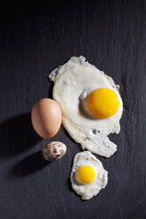 Quail egg, hen's egg and two fried eggs on slate - CSF025005