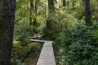 Canada, British Columbia, Vancouver Island, Tofino, Schooner Cove Hiking Trail - KEBF000023