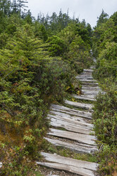 Kanada, Britisch-Kolumbien, Vancouver Island, Nuu-Chah-Nulth Trail - KEBF000025