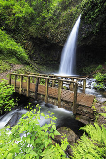 USA, Oregon, Multnomah County, Columbia River Gorge, Latourell Falls, Holzbrücke - FOF007869
