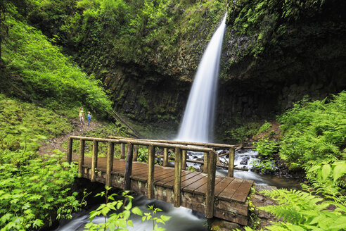 USA, Oregon, Multnomah County, Columbia River Gorge, Latourell Falls, Holzbrücke - FOF007870