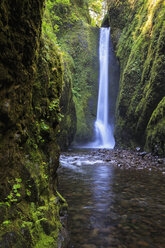 USA, Oregon, Multnomah County, Columbia River Gorge, Lower Oneonta Falls - FOF007875