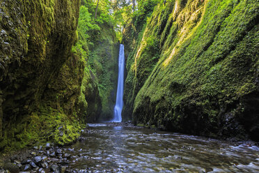 USA, Oregon, Multnomah County, Columbia River Gorge, Lower Oneonta Falls - FOF007876