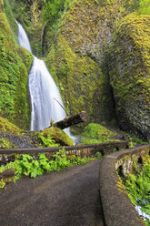 USA, Oregon, Multnomah County, Columbia River Gorge, Wahkeena Falls - FOF007917