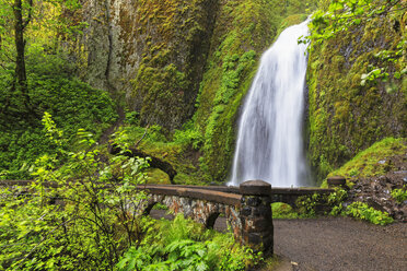 USA, Oregon, Multnomah County, Columbia River Gorge, Wahkeena Falls - FOF007901