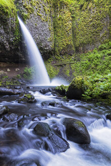 USA, Oregon, Columbia River Gorge, Multnomah County, Ponytail Falls - FOF007915