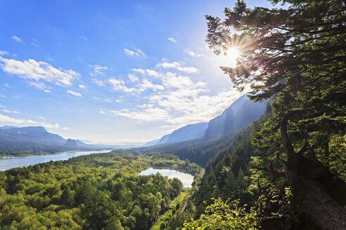 USA, Oregon, Columbia River Gorge, Multnomah County, Blick auf den Columbia River - FOF007916