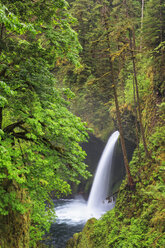 USA, Oregon, Landkreis Hood River, Columbia River Gorge, Eagle Creek, Metlako Falls - FOF007896