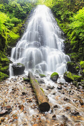 USA, Oregon, Multnomah County, Columbia River Gorge, Fairy Falls - FOF007897