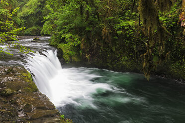 USA, Oregon, Landkreis Hood River, Columbia River Gorge, Lower Punch Bowl Falls - FOF007880