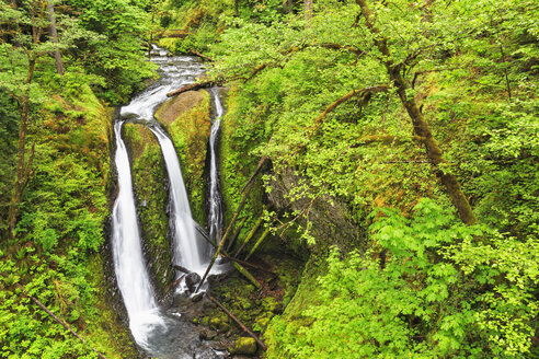 USA, Oregon, Columbia River Gorge, Multnomah County, Triple Falls - FOF007912