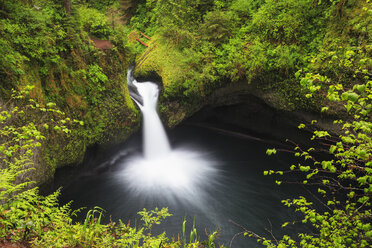 USA, Oregon, Hood River County, Columbia River Gorge, Punch Bowl Falls - FOF007890