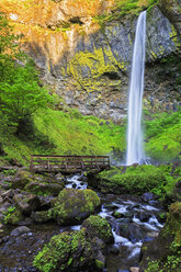 USA, Oregon, Multnomah County, Columbia River Gorge, Elowah Falls - FOF007908