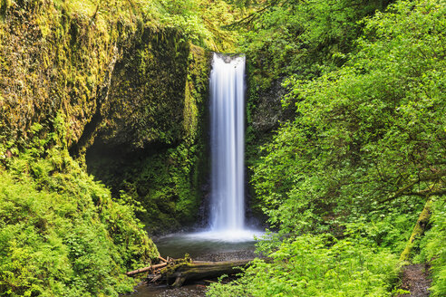 USA, Oregon, Multnomah County, Columbia River Gorge, Ecola Falls - FOF007905
