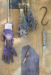 Bunch of lavender, gardening gloves, knife, wire and hooks in front of wood - GISF000069