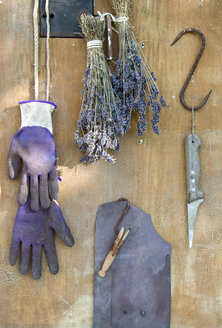 Lavendelsträußchen, Gartenhandschuhe, Messer, Draht und Haken vor dem Holz - GISF000069