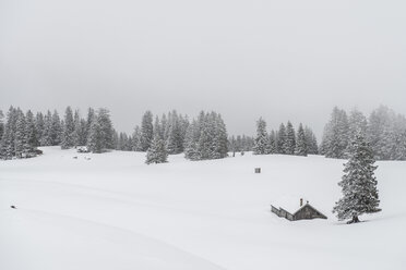 Schweiz, Kanton St. Gallen, Alp Toggenburg, Alp über Alt St. Johann im Winter - KEB000079